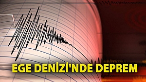 Ege Denizi'nde 4,6 büyüklüğünde deprem