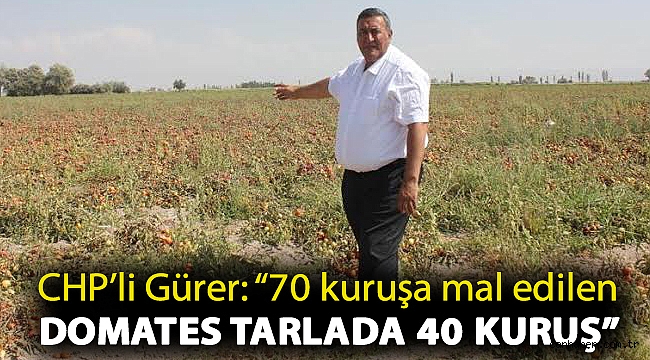 Gürer: “70 kuruşa mal edilen domates tarlada 40 kuruş”