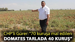 Gürer: “70 kuruşa mal edilen domates tarlada 40 kuruş”