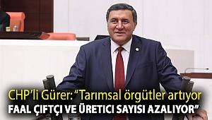 Gürer: “Tarımsal örgütler artıyor Faal çiftçi ve üretici sayısı azalıyor”