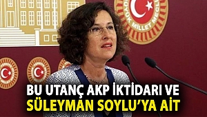 HDP'li Kerestecioğlu: Bu utanç AKP iktidarı ve Süleyman Soylu’ya ait