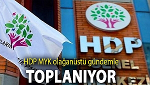 HDP MYK olağanüstü gündemle toplanıyor
