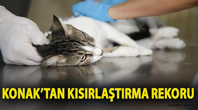 Konak’tan kısırlaştırma rekoru