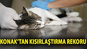 Konak’tan kısırlaştırma rekoru