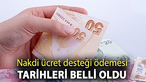Nakdi ücret desteği ödemesi tarihleri belli oldu