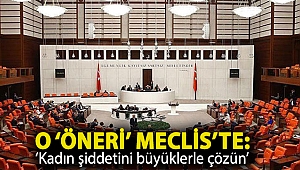 O ‘öneri’ Meclis’te: ‘Kadın şiddetini büyüklerle çözün’