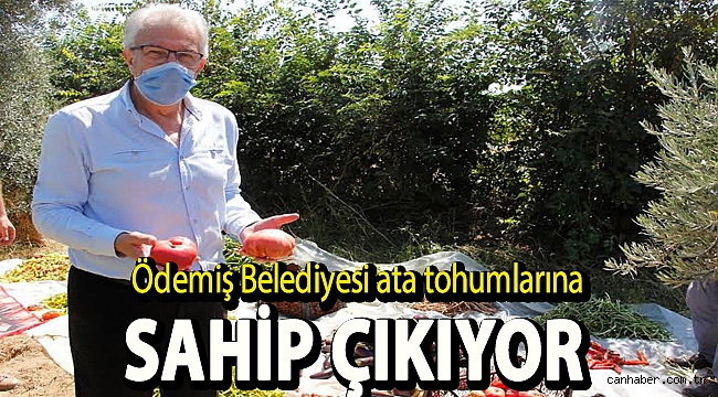 Ödemiş Belediyesi ata tohumlarına sahip çıkıyor