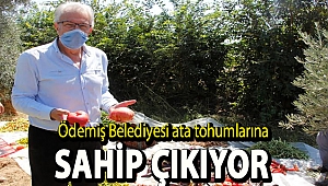Ödemiş Belediyesi ata tohumlarına sahip çıkıyor