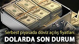 Serbest piyasada döviz açılış fiyatları: Dolarda son durum