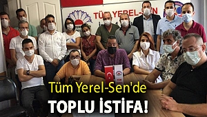 Tüm Yerel-Sen'de toplu istifa!