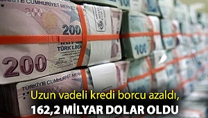 Uzun vadeli kredi borcu azaldı, 162,2 milyar dolar oldu