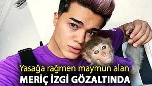 Yasağa rağmen maymun alan Meriç İzgi gözaltında