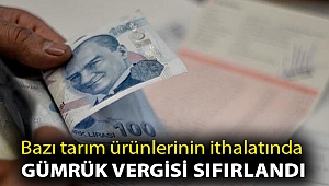 Bazı tarım ürünlerinin ithalatında gümrük vergisi sıfırlandı