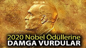 Bilimsel kategorilerde ödül alan 3 kadın, 2020 Nobel Ödüllerine damgasını vurdu