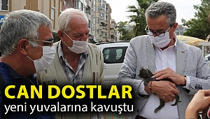 Can dostlar yeni yuvalarına kavuştu