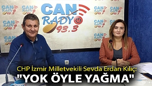 CHP İzmir Milletvekili Sevda Erdan Kılıç: