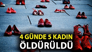 CHP’li Şevkin: “Kadınlar ölüyor, kabineden ses çıkmıyor!”