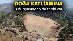 Doğa katliamına iş dünyasından da tepki var