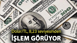 Dolar/TL, 8,23 seviyesinden işlem görüyor