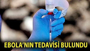 Ebola’nın tedavisi bulundu