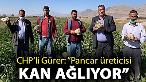 Gürer: “Pancar üreticisi kan ağlıyor”