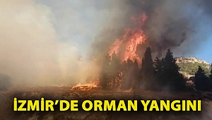 İzmir’de orman yangını