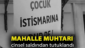 Mahalle muhtarı cinsel saldırıdan tutuklandı