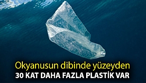 Okyanusların dibinde '14 milyon tondan fazla mikroplastik olabilir'