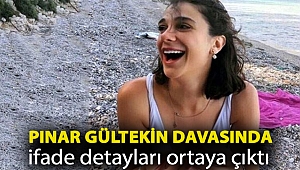 Pınar Gültekin cinayetinde tutuklanan kardeşin ifadesi ortaya çıktı