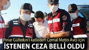 Pınar Gültekin'i katleden Cemal Metin Avcı için istenen ceza belli oldu