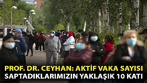 Prof. Dr. Ceyhan: Aktif vaka sayısı saptadıklarımızın yaklaşık 10 katı