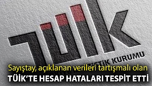 Sayıştay, açıklanan verileri tartışmalı olan TÜİK'te hesap hataları tespit etti