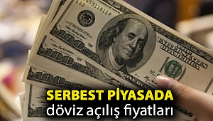 Serbest piyasada döviz açılış fiyatları