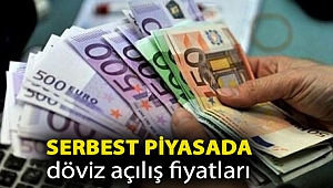 Serbest piyasada döviz açılış fiyatları