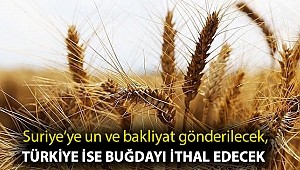 Suriye’ye un ve bakliyat gönderilecek, Türkiye ise buğdayı ithal edecek
