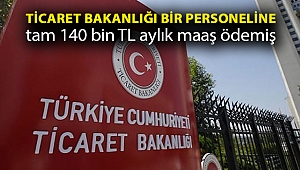 Ticaret Bakanlığı bir personeline tam 140 bin 595 TL aylık maaş ödemiş