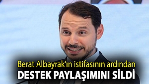 Berat Albayrak'ın istifasının ardından destek paylaşımını sildi