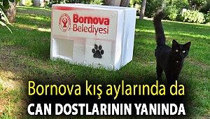 Bornova kış aylarında da can dostlarının yanında
