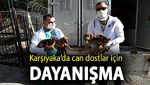 Can dostlar için dayanışma