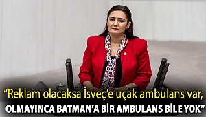 CHP İzmir Milletvekili Av. Sevda Erdan Kılıç: “Reklam olacaksa İsveç’e uçak ambulans var, olmayınca Batman’a bir ambulans bile yok”