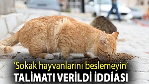 CHP’li İlgezdi’den, Topkapı Sarayı’nda ‘Sokak hayvanlarını beslemeyin’ talimatı verildi iddiası