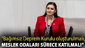 CHP'li Kılıç: “Bağımsız Deprem Kurulu oluşturulmalı, meslek odaları sürece katılmalı”