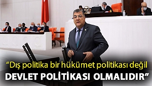 “Dış politika bir hükümet politikası değil devlet politikası olmalıdır”