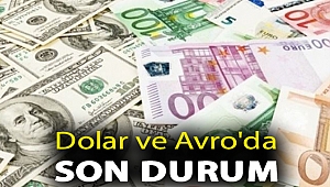 Dolar ve Avro'da son durum