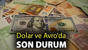 Dolar ve Avro'da son durum