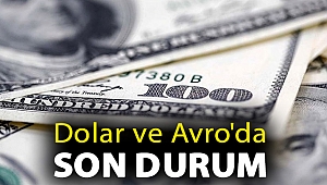 Dolar ve Avro'da son durum