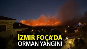İzmir Foça'da orman yangını: Çok sayıda ekip müdahale ediyor