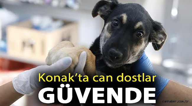 Konak’ta can dostlar güvende
