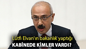 Lütfi Elvan'ın bakanlık yaptığı kabinede kimler vardı?