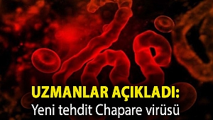 Uzmanlar açıkladı: Yeni tehdit Chapare virüsü
